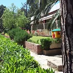 Grifone Principina a Mare