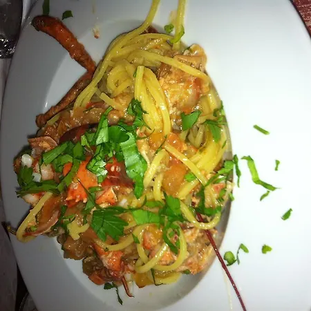 Grifone Principina a Mare