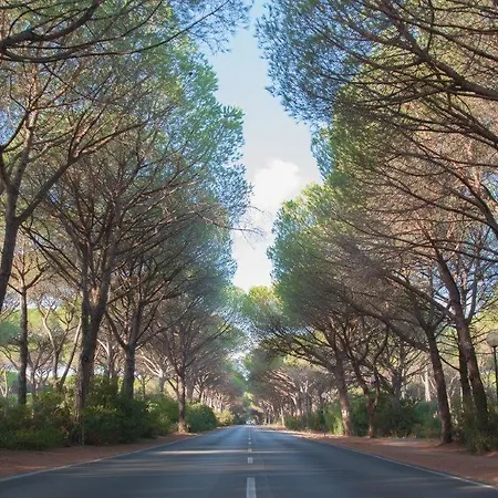 Grifone Hotel 3*